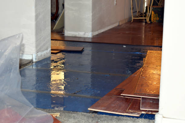 Professional Basement Flood Cleanup technician working in Fort Dick, CA